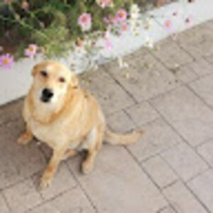 Meet your Posher, Rafaela